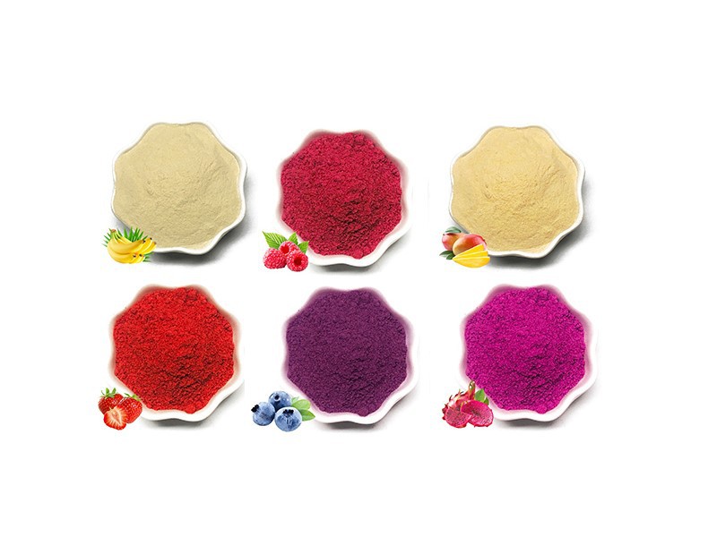 dragon fruit powder1101 dragon fruit powder1101