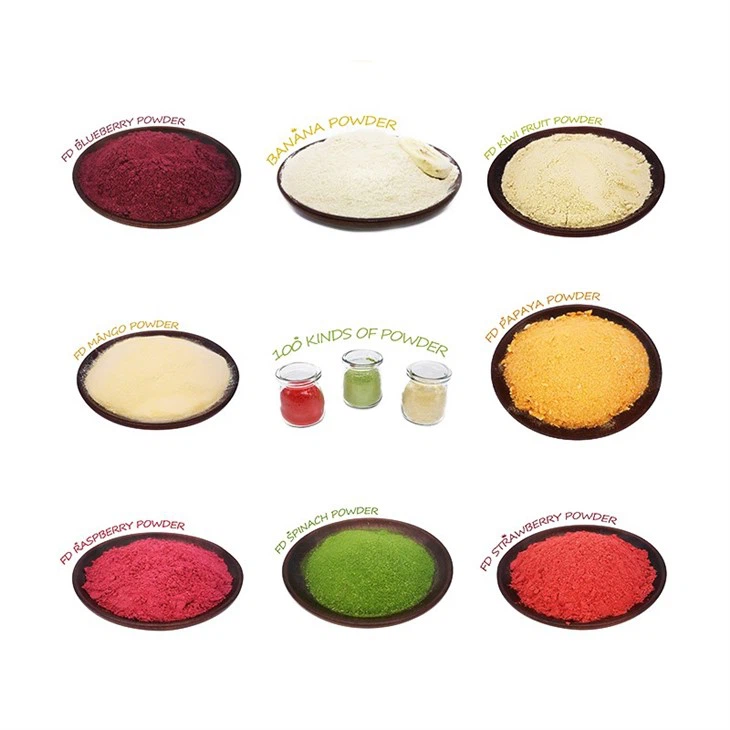 Best Blueberry Powder