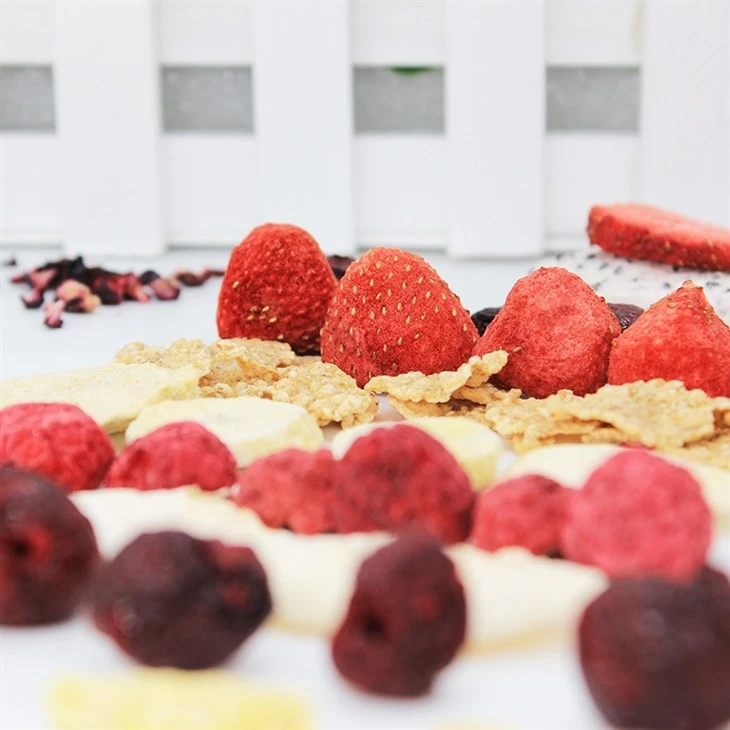 Freeze Dried Food Fruit